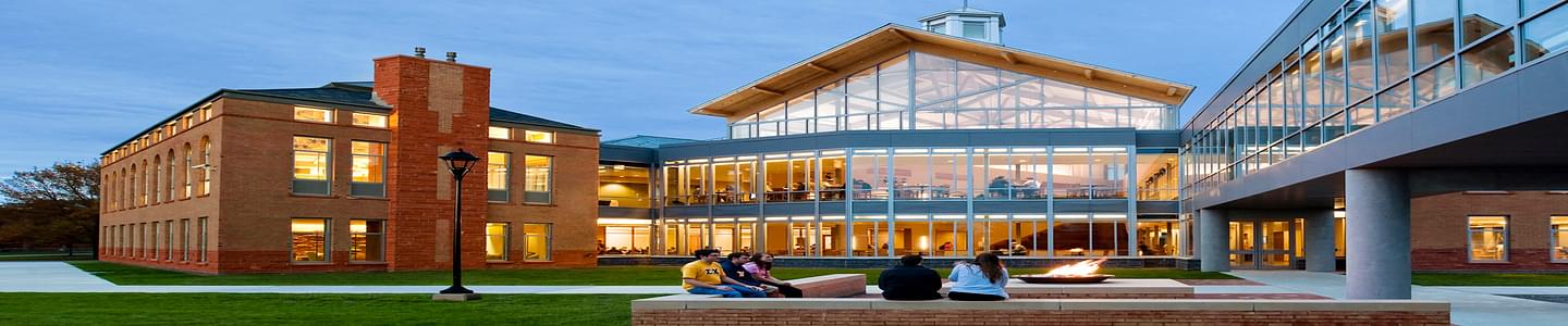 Clarkson University banner